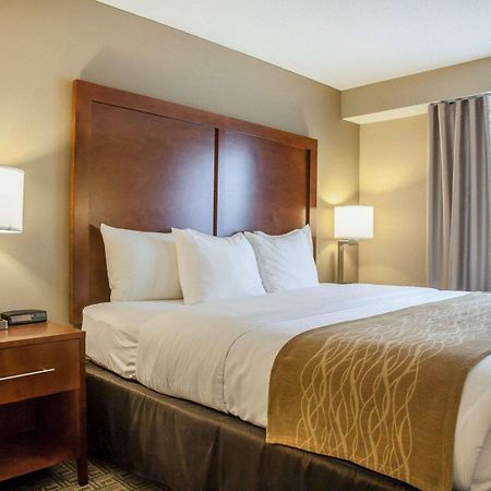 Comfort Inn & Suites Sturbridge-Brimfield Bagian luar foto