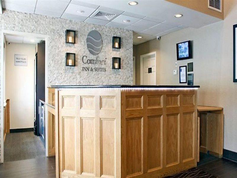 Comfort Inn & Suites Sturbridge-Brimfield Bagian luar foto