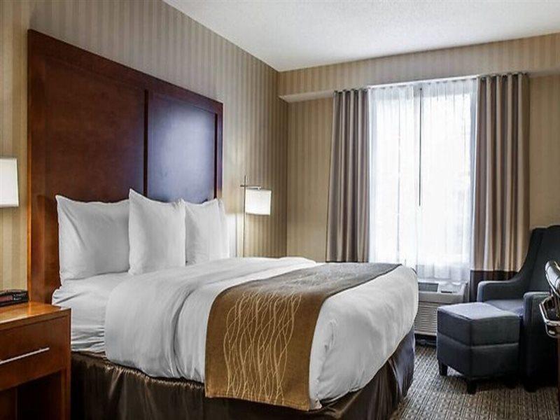 Comfort Inn & Suites Sturbridge-Brimfield Bagian luar foto