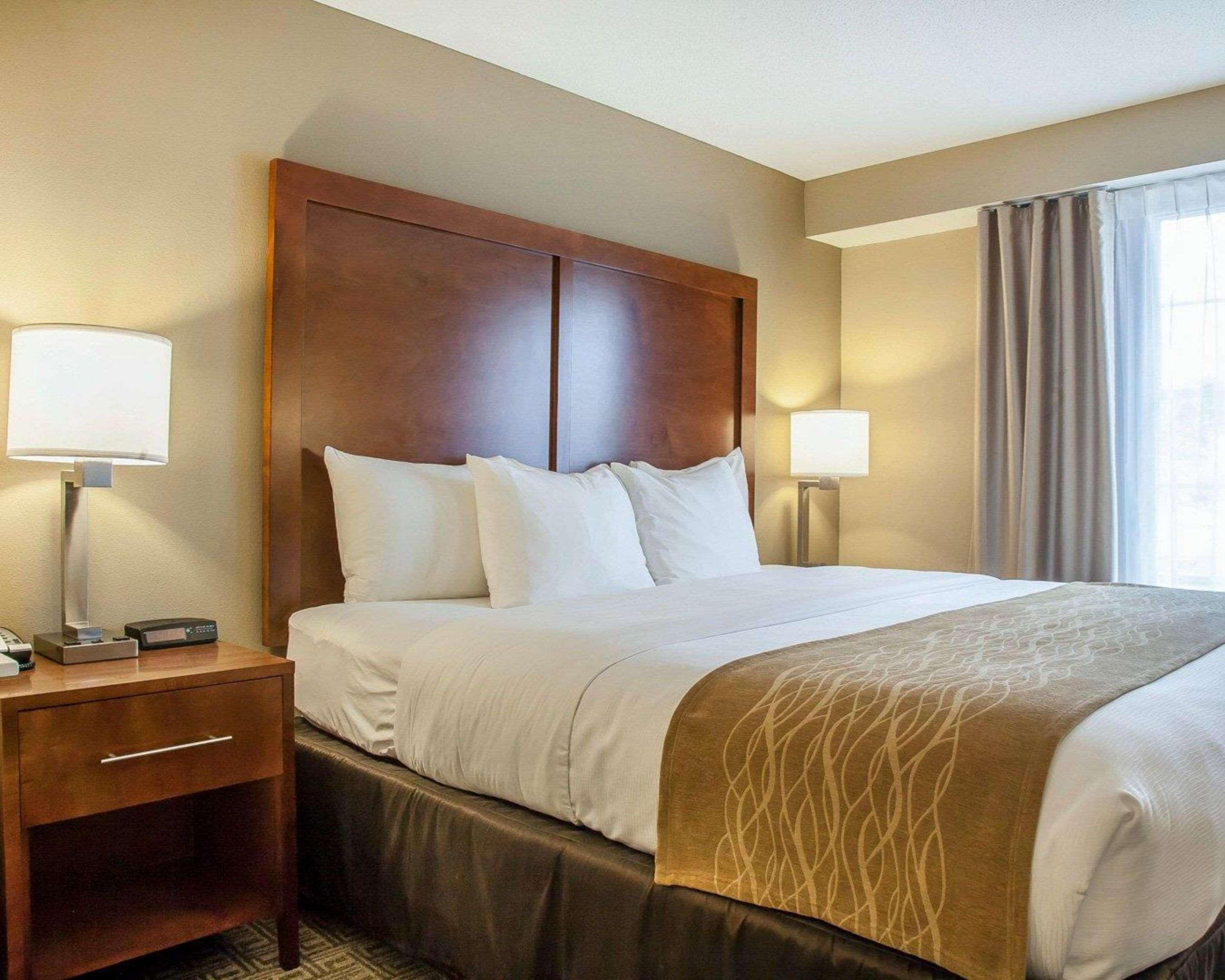 Comfort Inn & Suites Sturbridge-Brimfield Bagian luar foto