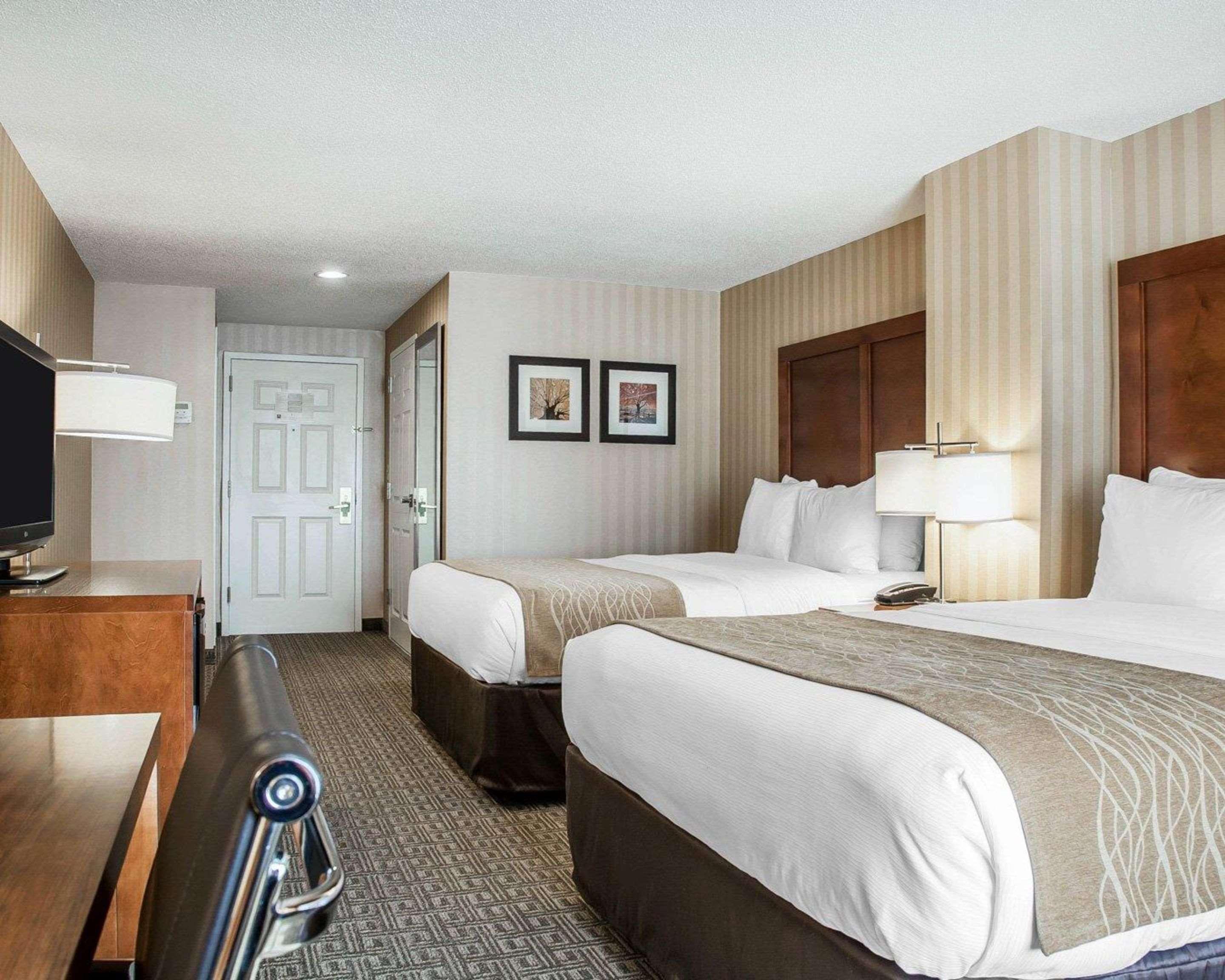 Comfort Inn & Suites Sturbridge-Brimfield Bagian luar foto