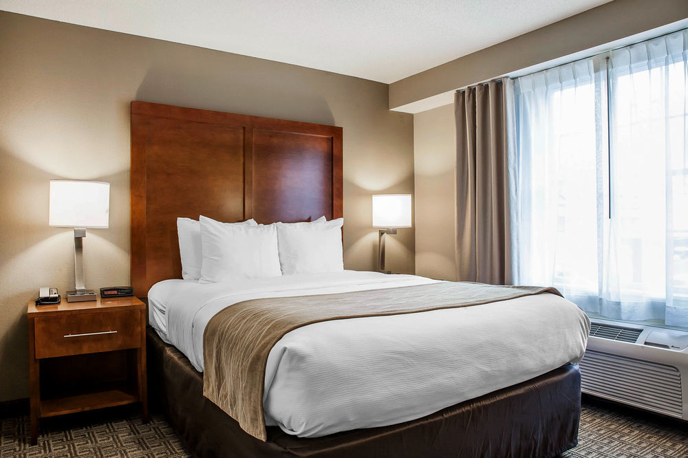 Comfort Inn & Suites Sturbridge-Brimfield Bagian luar foto